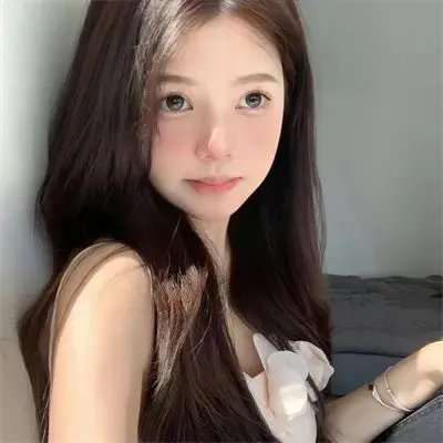 完美的主人